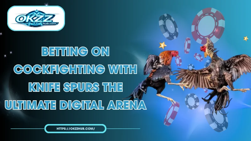 Betting on Cockfighting with Knife Spurs: Professional Guide