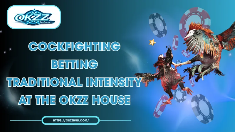 Cockfighting Betting OKZZ Guide: Top Arenas and Winning Odds