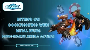 Betting on Cockfighting with Metal Spurs: Expert Strategies