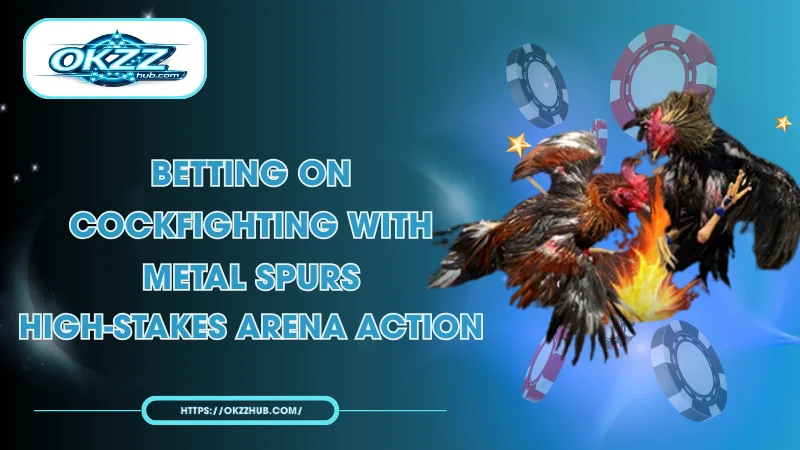 Betting on Cockfighting with Metal Spurs: Expert Strategies